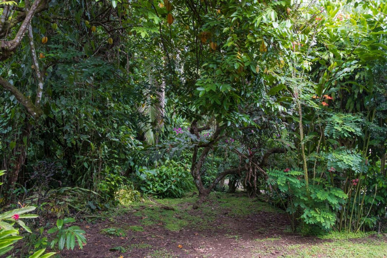 Cabinas Iguana Cahuita Dış mekan fotoğraf
