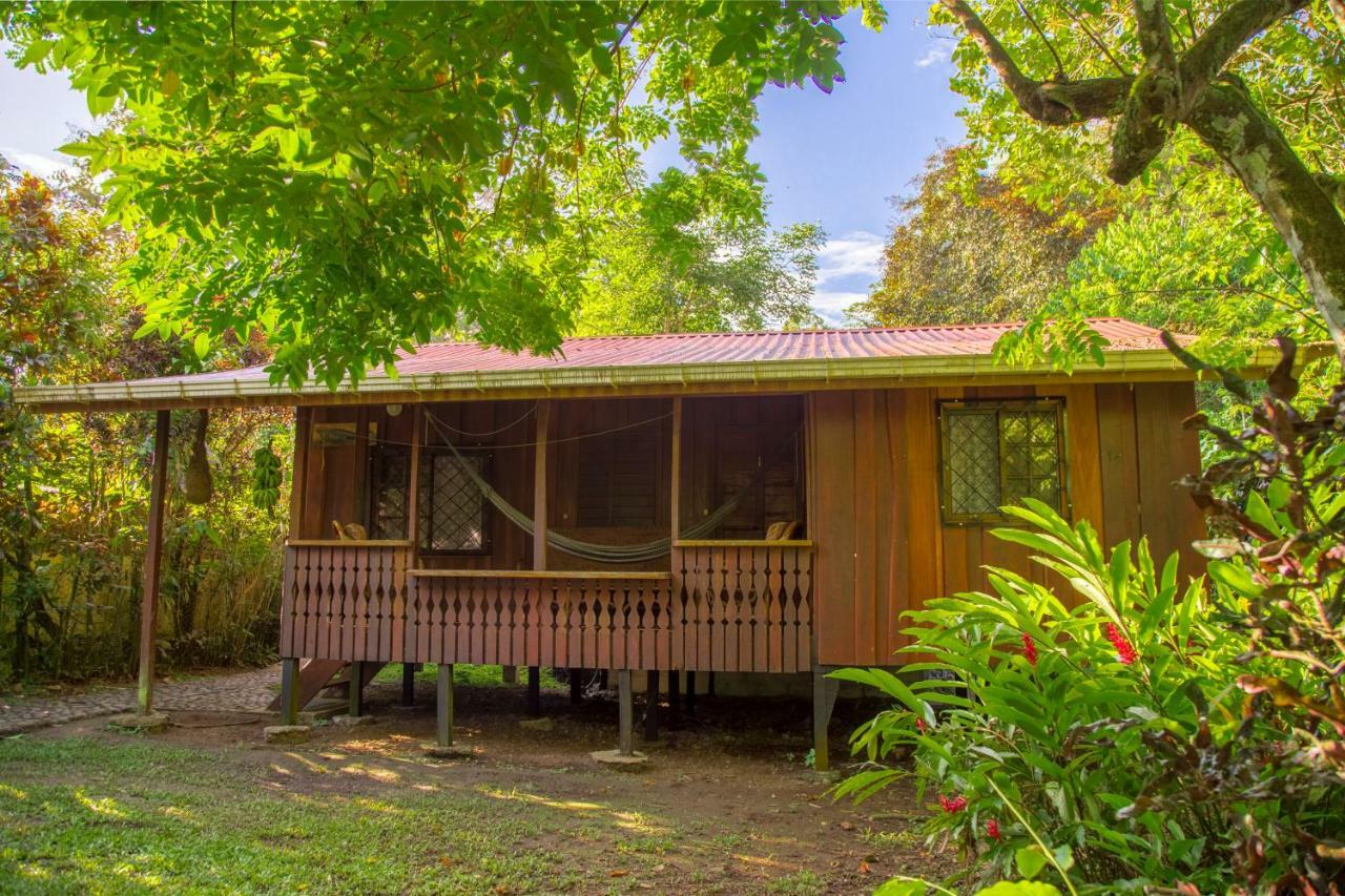Cabinas Iguana Cahuita Dış mekan fotoğraf