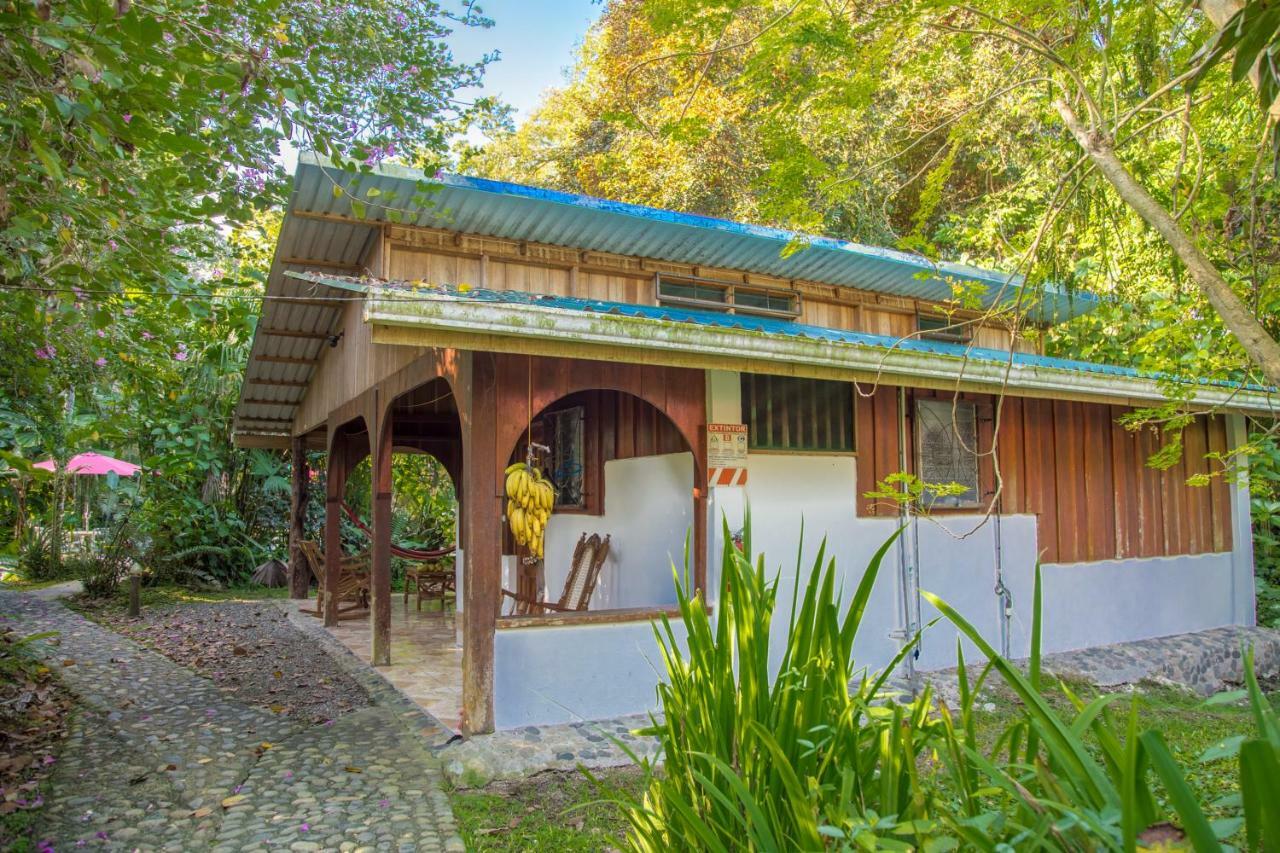 Cabinas Iguana Cahuita Dış mekan fotoğraf