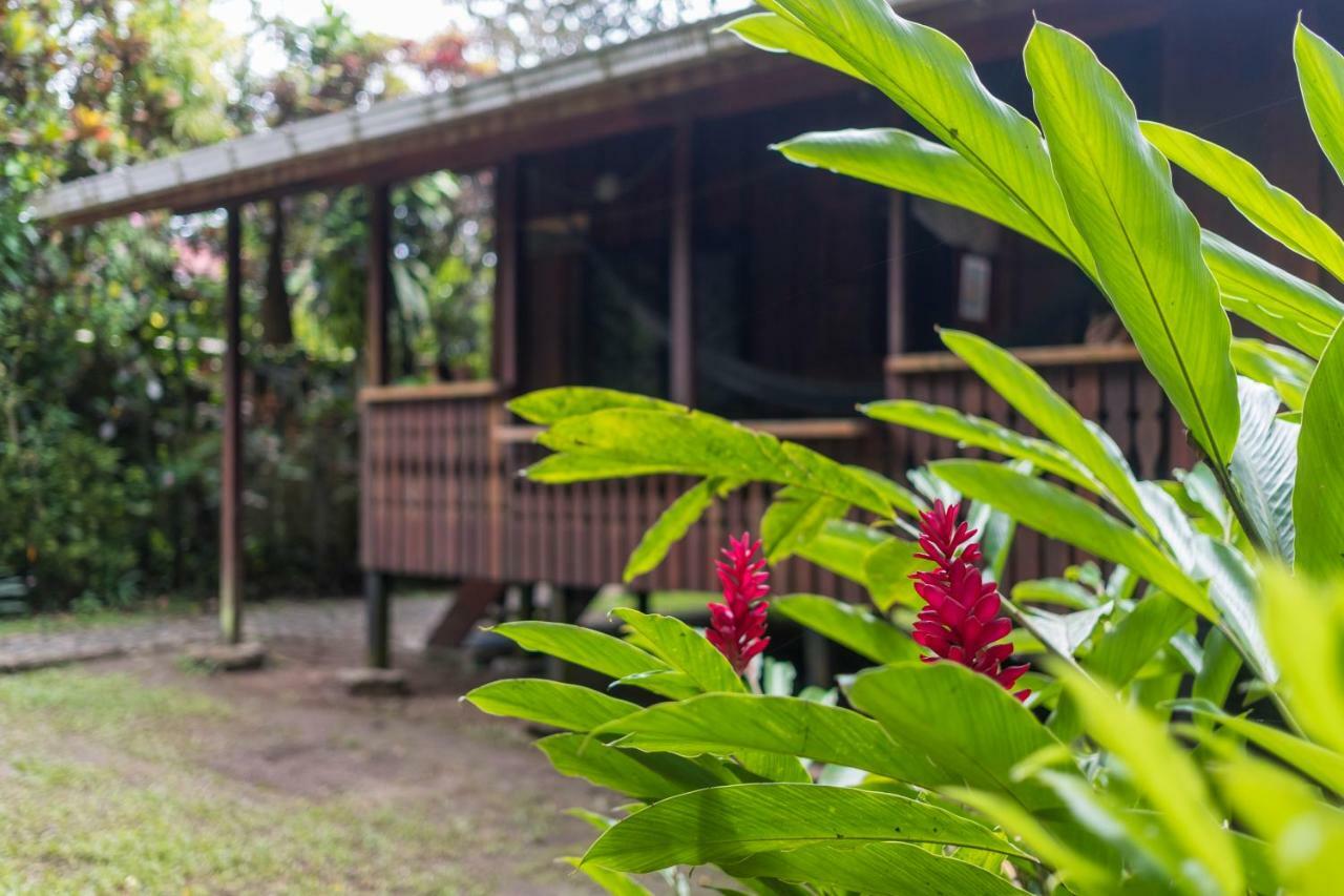 Cabinas Iguana Cahuita Dış mekan fotoğraf