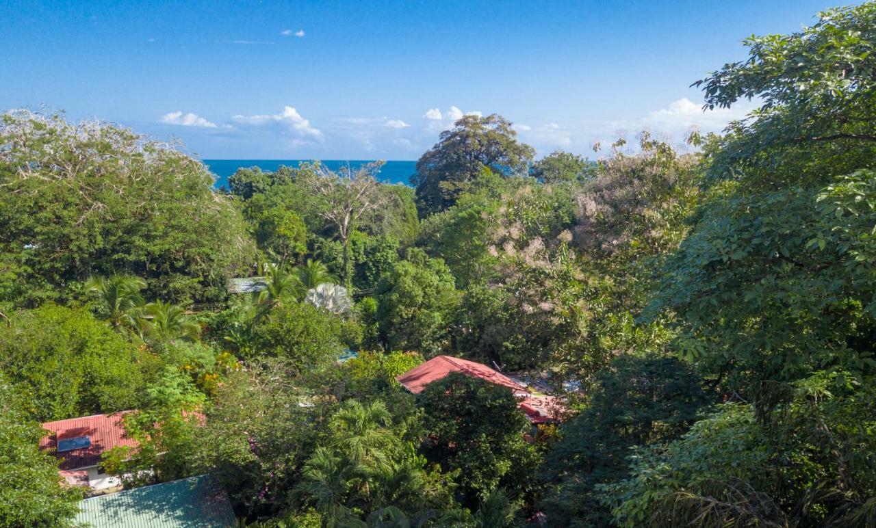 Cabinas Iguana Cahuita Dış mekan fotoğraf