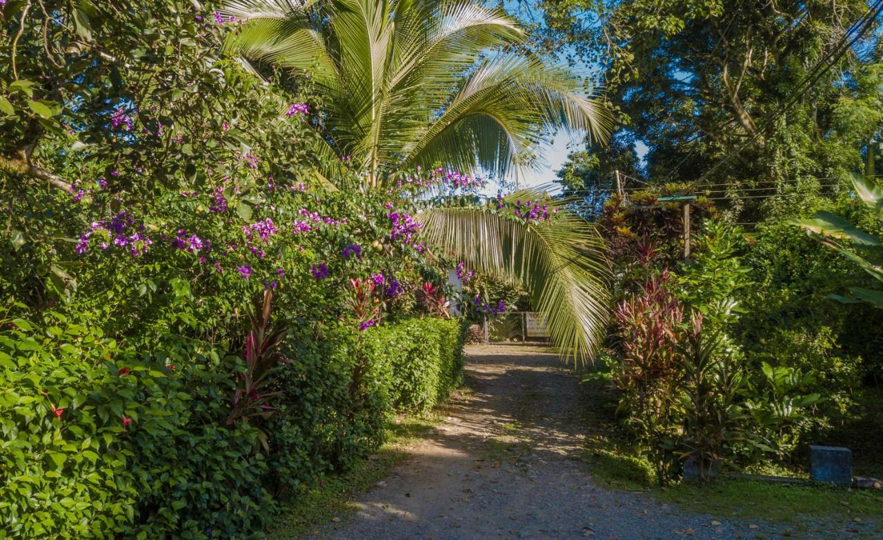 Cabinas Iguana Cahuita Dış mekan fotoğraf