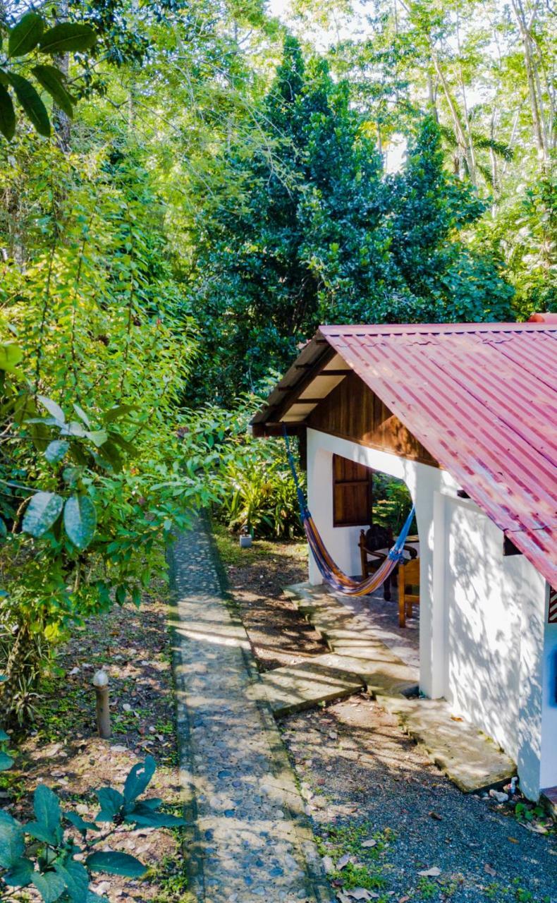 Cabinas Iguana Cahuita Dış mekan fotoğraf